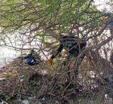 Hatay'da Asi Nehri'nde erkek cesedi bulundu