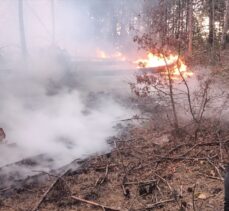 GÜNCELLEME – Kütahya'daki orman yangını kontrol altına alındı