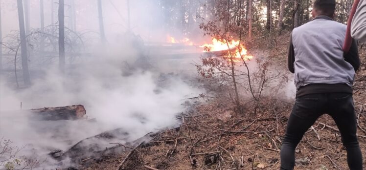 GÜNCELLEME – Kütahya'daki orman yangını kontrol altına alındı