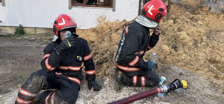 GÜNCELLEME – Sakarya'da çiftlikte çıkan yangında 1 kişi dumandan etkilendi
