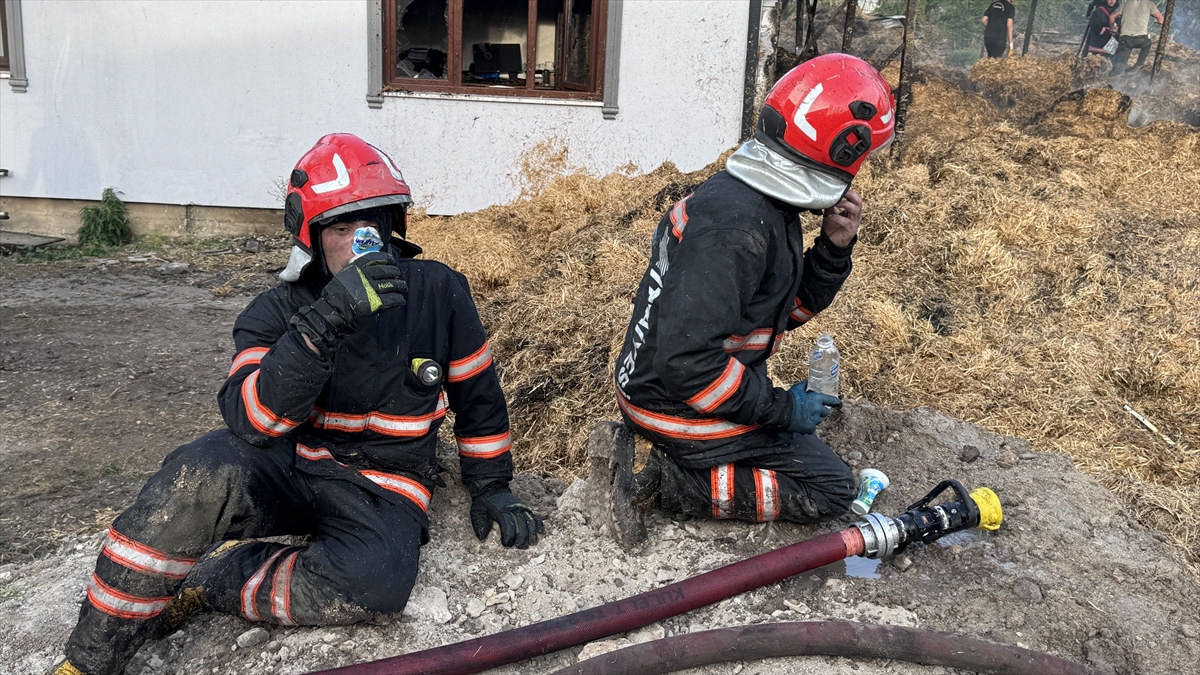GÜNCELLEME – Sakarya'da çiftlikte çıkan yangında 1 kişi dumandan etkilendi