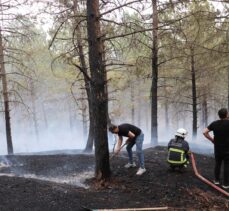 Samsun'da çıkan orman yangınında 2 dekar alan zarar gördü