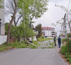 Samsun'da kuvvetli rüzgar bir çatıyı uçurdu, ağaçları devirip elektrik tellerini kopardı