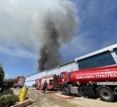 Şanlıurfa'da tekstil fabrikasında yangın çıktı