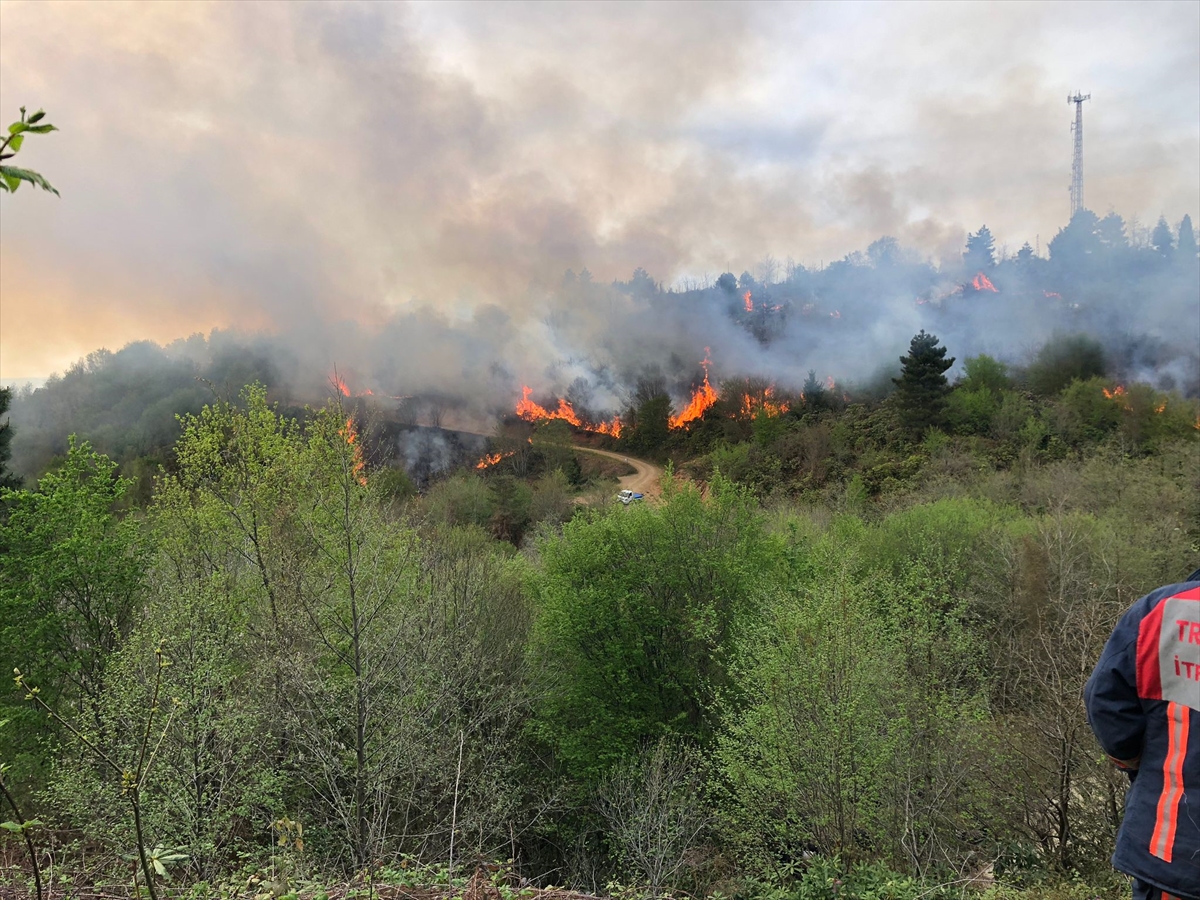 Trabzon-Giresun sınırındaki örtü yangını kontrol altına alındı