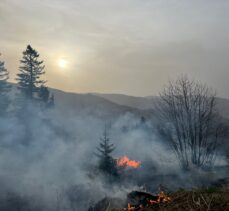 Trabzon'da mezire evinden çalılıklara sıçrayan yangın söndürüldü