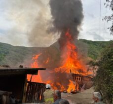 Zonguldak'ta iki ahşap ev yanarak kullanılamaz hale geldi