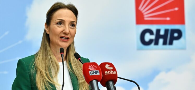 CHP Genel Başkan Yardımcısı Nazlıaka, basın toplantısında konuştu: