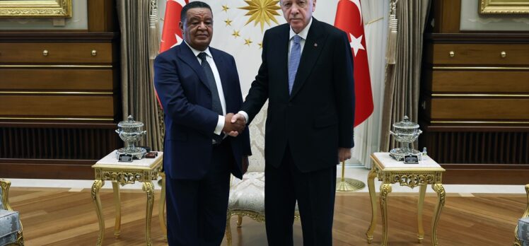 Cumhurbaşkanı Erdoğan, eski Etiyopya Cumhurbaşkanı Wirtu'yu kabul etti