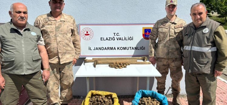 Elazığ'da 98,5 kilogram salep soğanını kaçak toplayan 4 kişi yakalandı