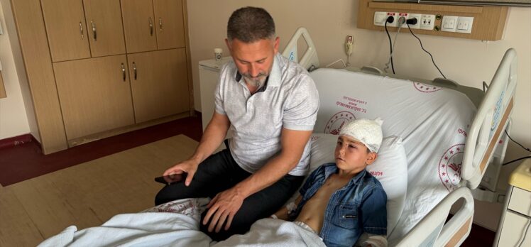 Mardin'de komşusunun köpeğinin saldırısına uğrayan 7 yaşındaki çocuk yaralandı